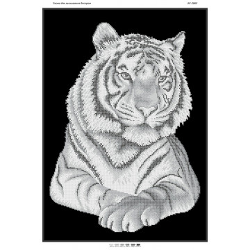 Тигр(част. виш.) ([БС 2063])